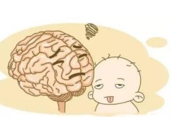 胎儿脑保护效应（胎儿脑保护效应还能要吗）