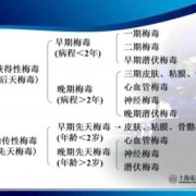 梅毒通过哪些途径会间接传染,肛交对胎儿有影响吗
