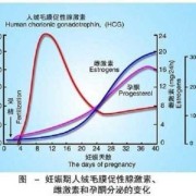 孕期激素变化（孕期激素变化曲线）