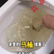 怀孕期间大便干燥怎么办（大便太干燥马桶堵了怎么办）