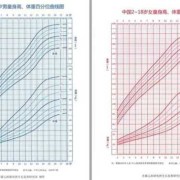 怀孕3个月胎儿头臀长是多少,胎儿头围范围值表
