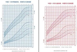 怀孕3个月胎儿头臀长是多少,胎儿头围范围值表