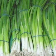 孕期能吃葱（孕期能吃葱吗?）