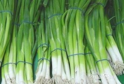 孕期能吃葱（孕期能吃葱吗?）