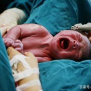 2个月婴儿37度2怎么办？宝宝37.2度是低烧吗,怀孕2个月的胎儿有多大图片