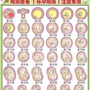 怀孕期间胎儿发育过程（孕45天胎儿发育情况到底是怎样的？孕早期时候，需要怎么检查）