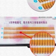 孕期能嫁接睫毛吗（怀孕六个月可以嫁接睫毛吗）