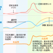排卵期就是易孕期吗（排卵期就是易孕期吗?）