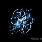 鉴别胎儿抽（胎儿抽象图）