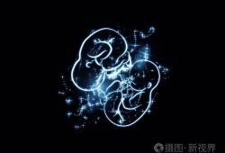 鉴别胎儿抽（胎儿抽象图）