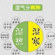 孕期如何祛湿（体内湿气重，如何有效祛湿）