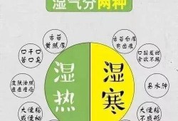 孕期如何祛湿（体内湿气重，如何有效祛湿）
