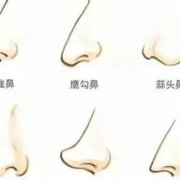 婴儿鼻型如何判断鼻梁高,胎儿鼻子高是男孩女孩