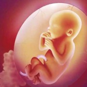 三个多月胎儿图（三个多月宝宝脸蛋经常红红的，脸蛋肉硬，怎么回事）