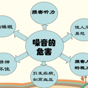 噪音多大对胎儿有影响（噪音多大对胎儿有影响呢）