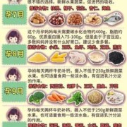 孕妇如何补充维生素B12,孕期营养指导中不正确的是