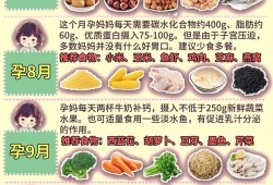 孕妇如何补充维生素B12,孕期营养指导中不正确的是