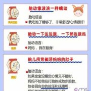 孕28周如何数胎动?怎么样是正常,28周胎儿胎动情况正常吗