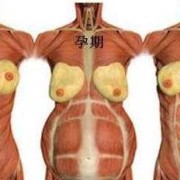 孕妇的肚脐眼连接着胎儿的哪里,孕妇肚脐连着胎儿哪里疼