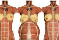 孕妇的肚脐眼连接着胎儿的哪里,孕妇肚脐连着胎儿哪里疼