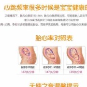 胎儿多大能听到胎心（胎儿多大能听到胎心音）