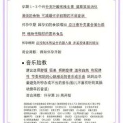 怀孕多久可以胎教,怀孕期间胎教最佳时间
