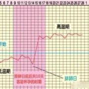 受孕期体温（孕妇体温高对胎儿有影响么）
