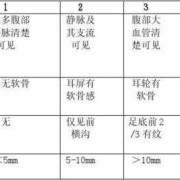 新生儿胎标是啥意思,胎儿生物学测量是什么意思