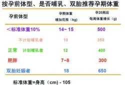 怀孕6个月胎儿（怀孕6个月胎儿体重多少正常）