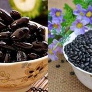 孕期吃黑豆有什么好处（怀孕初期能吃黑豆吗）