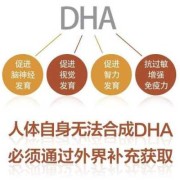 孕期什么时候补充dha（孕期什么时候补充dha最好呢）