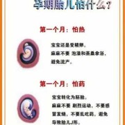 胎儿怕什么（4岁小孩出门见生人有点怕什么原因）