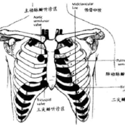 胎儿心音（胎儿心音听诊正确的是）