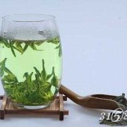 孕期龙井茶（孕妇龙井茶）