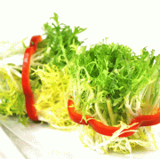 孕期可以吃苦菊吗（孕期可以吃苦菊吗?）