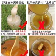 椴树蜜孕期（蜂蜜露孕妇专用有必要买吗）