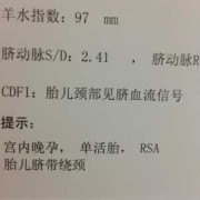 胎儿脐血流监测是什么意思,胎儿颈部可见一组脐血流是什么意思