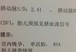 胎儿脐血流监测是什么意思,胎儿颈部可见一组脐血流是什么意思