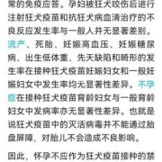 备孕期打了狂犬疫苗（打狂犬疫苗期间能要孩子吗）