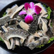 孕期可以吃牛肚吗（哪些人不能吃牛肚）
