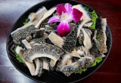 孕期可以吃牛肚吗（哪些人不能吃牛肚）