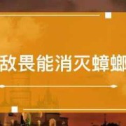 敌敌畏能消灭蟑螂吗,敌敌畏对胎儿的影响