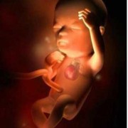 怀孕14周胎儿稳定了吗（试管怀孕14周胎儿稳定了吗）