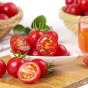 备孕期女性能吃西红柿吗,孕期可以生吃西红柿吗有营养吗