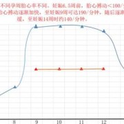 孕15周胎心率多少正常？正常范围是多少,怀孕15周胎儿有多大图片欣赏