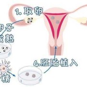 易孕期体外受精会怀孕吗（易孕期体外受精会怀孕吗女性）