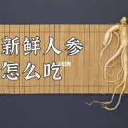 备孕期间可以吃人参吗（备孕期间可以吃人参吗）