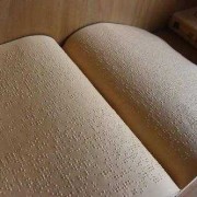 失盲是什么意思,胎儿盲人可以检查出来吗