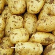 孕期吃土豆有什么好处（孕期吃土豆有什么好处和坏处）