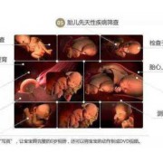 怀孕100天胎儿男女图（怀孕100天胎儿男女图片大全）